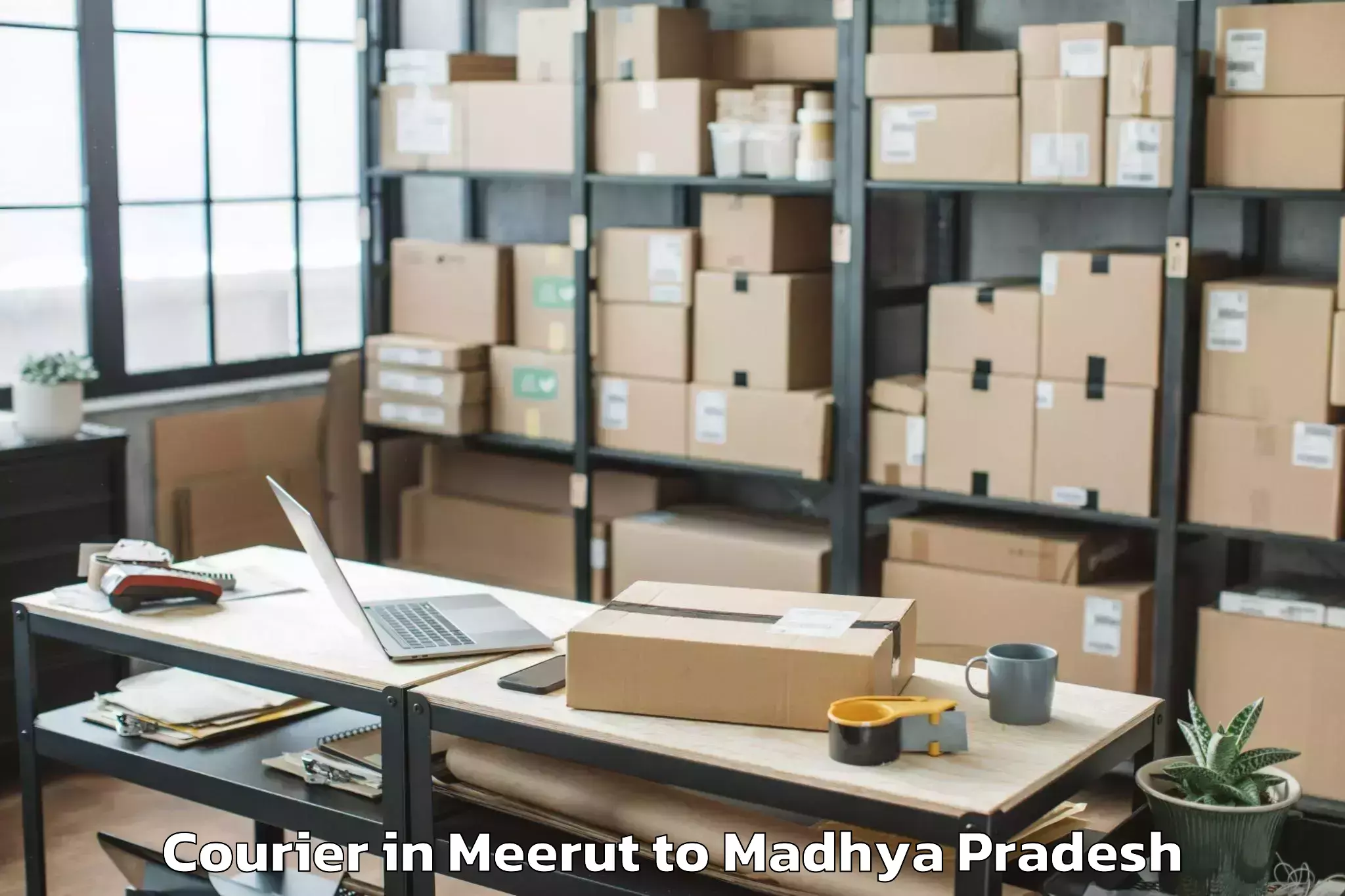 Reliable Meerut to Satwas Courier